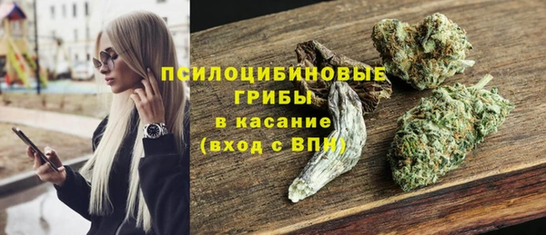 экстази Новодвинск