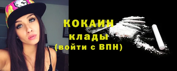 мяу мяу мука Новозыбков