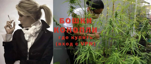 мяу мяу мука Новозыбков
