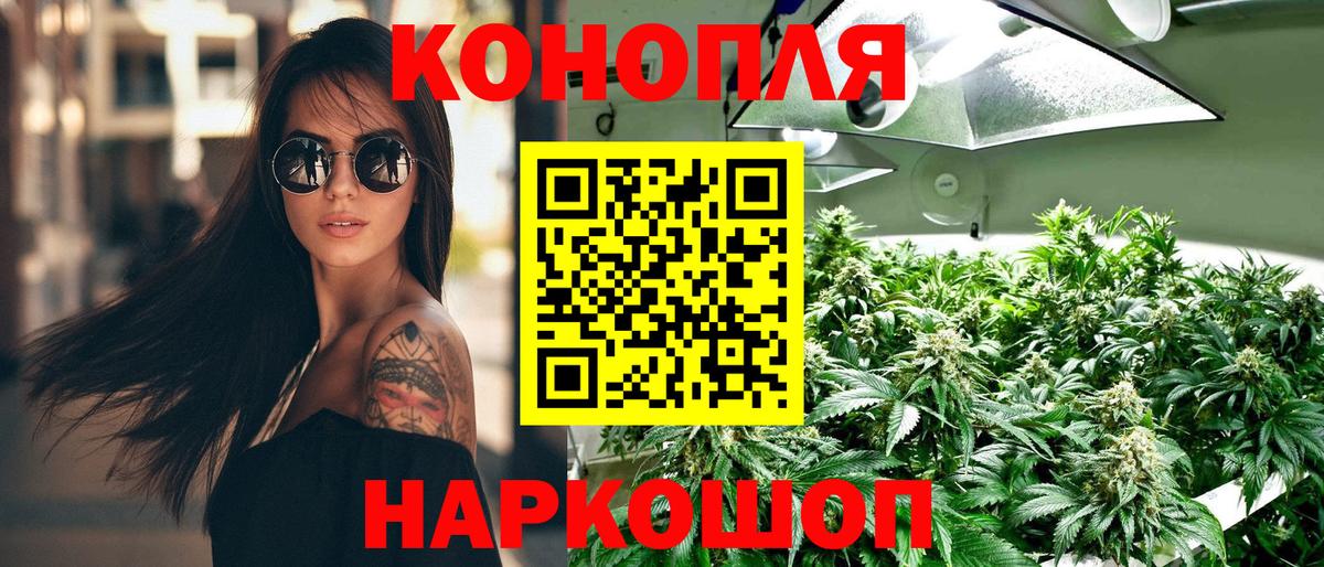 Бошки марихуана VHQ  Конопля планчик  Вход с VPN  Саянск 